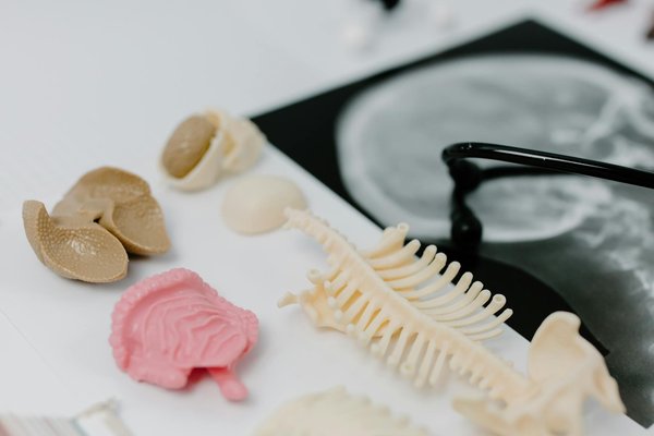 Entretien avec un dermatologue : tout savoir sur les vergetures de grossesse